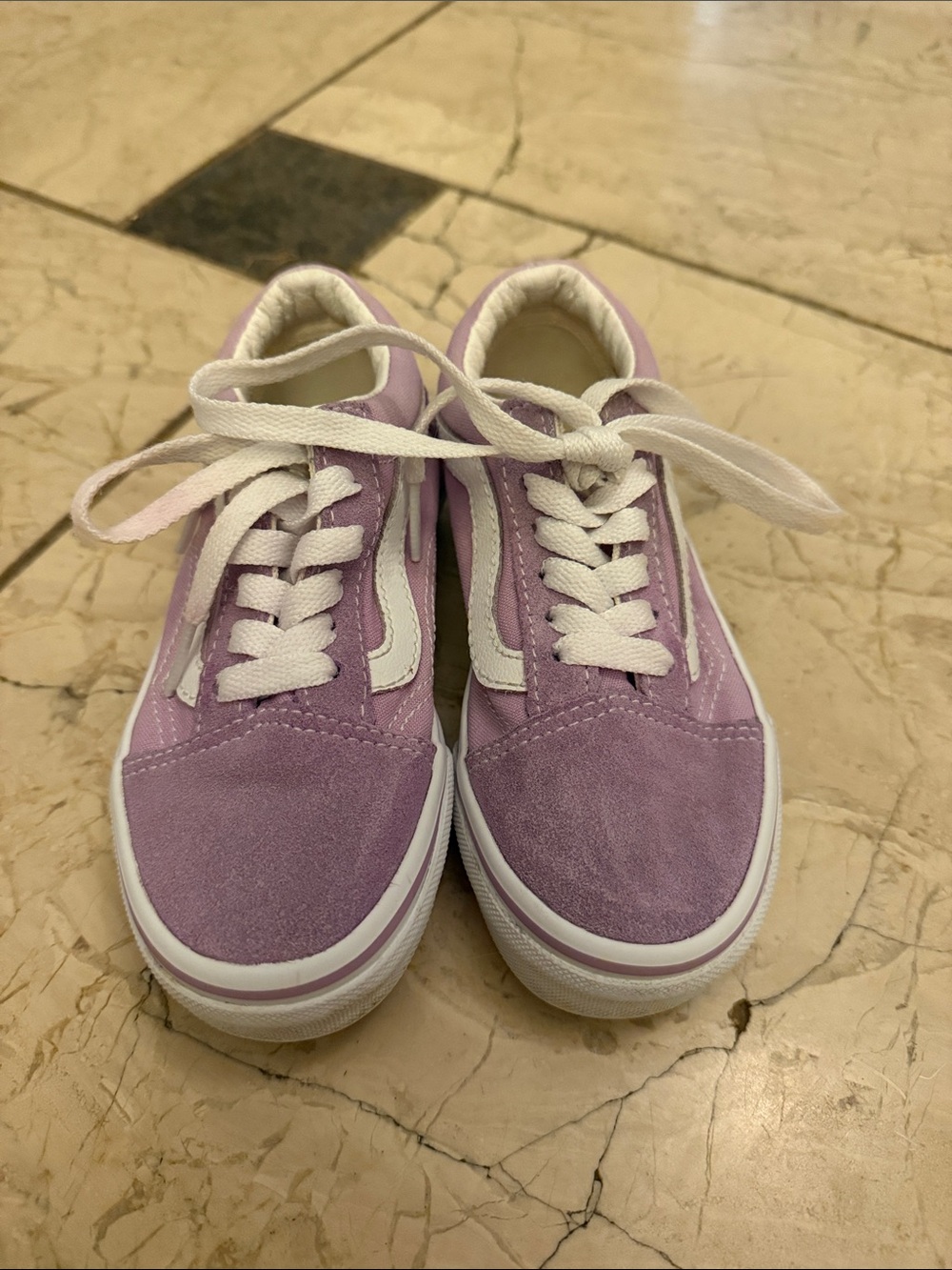 Vans Lilac Suede Low-Top Skate Sneakers with White Stripe